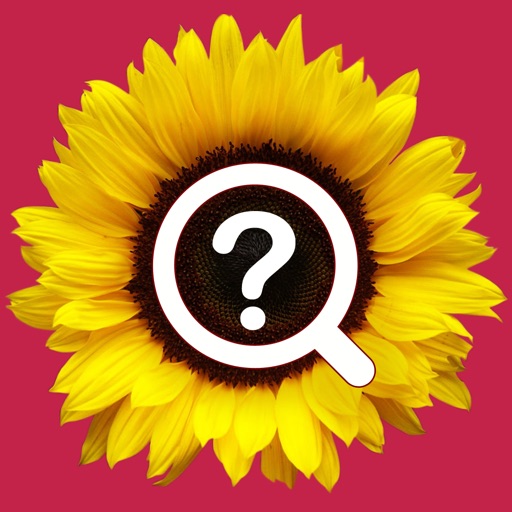 Flowerwiki icon