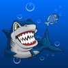 Shark App: Shark Run, Shark Jump