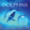 Fun Dolphin Sounds Edition