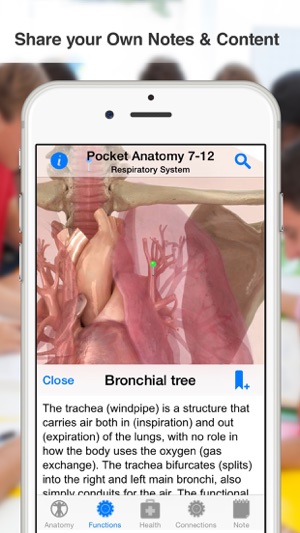 High School Anatomy(圖4)-速報App