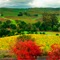 Amazing Bothe-Napa Valley State Park wallpapers for iPhone
