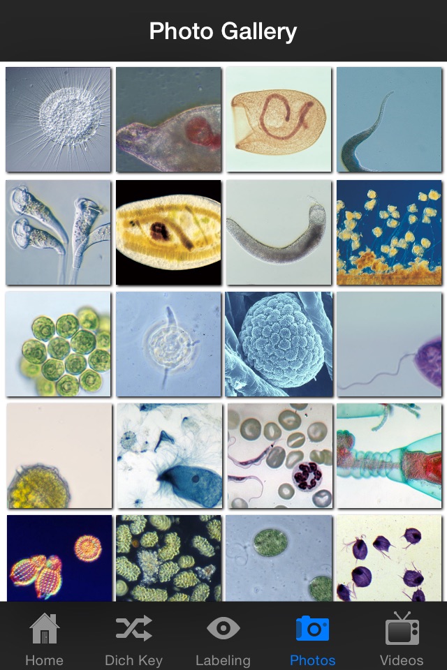 Protozoan Identification screenshot 4