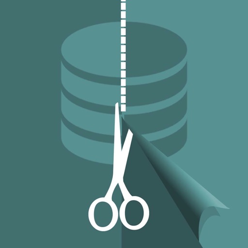 Data Snippets Icon