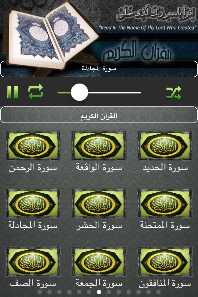 القران الكريم | هاني الرفاعي screenshot 2