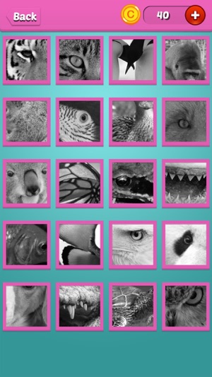 Quiz Pic: Animals(圖3)-速報App