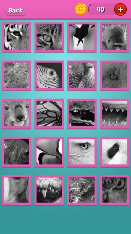 Quiz Pic: Animals