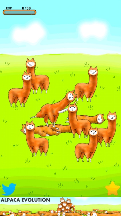Alpaca Evolution