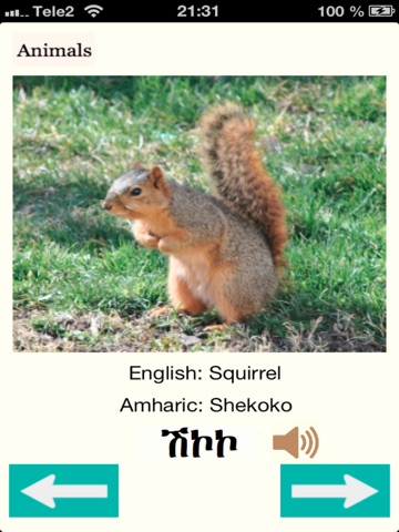 Animals in Amharic Audio screenshot 4