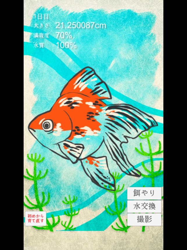 金魚育成アプリ 簡単なお世話でキンギョを育てる癒しのゲーム をapp Storeで