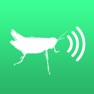 Get Crickets for iOS, iPhone, iPad Aso Report