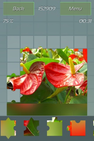 Flowers Best Puzzles screenshot 2