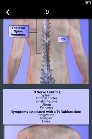 Hassel Chiropractic screenshot 4