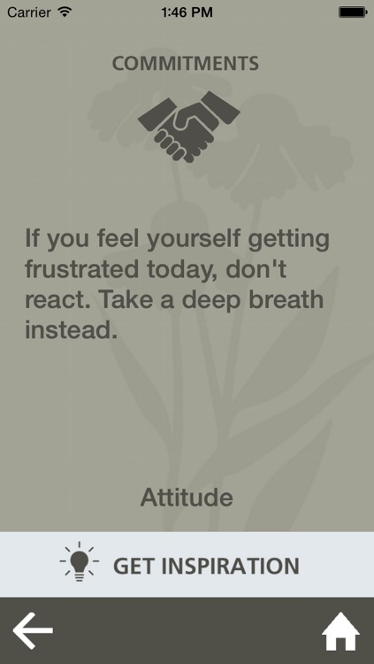 Dream Maker Culture screenshot-4