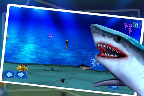 Shark Winter Emergency : The Ocean Underwater Fish Attack For Food - Free screenshot 2
