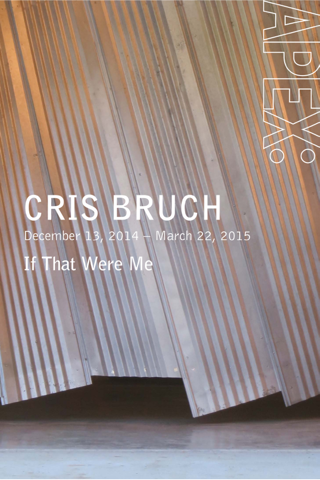 Portland Art Museum APEX: Cris Bruch screenshot 2
