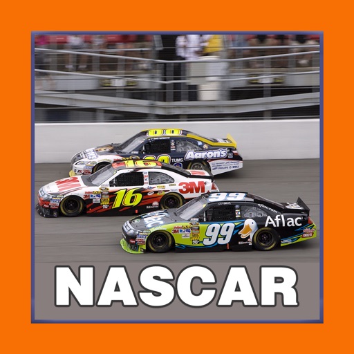 Complete Idiot's Guide to NASCAR