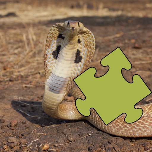 Snakes Puzzles by Mincu