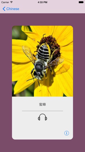 Learning Chinese (Simplified) Basic 400 Words(圖5)-速報App