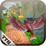 Bird Fly Temple 3D Parkour on beach