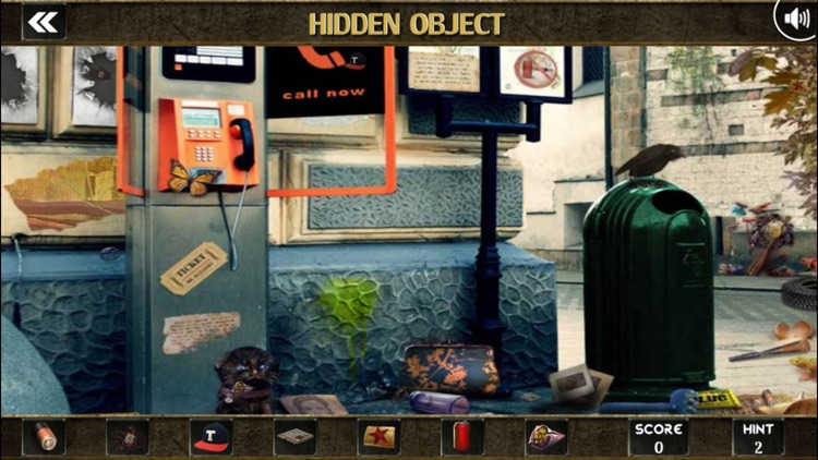 Mystery of Secret Hidden Objects screenshot-3