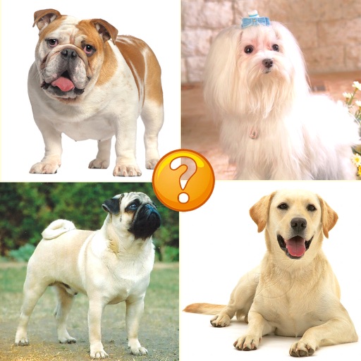 Guess Puppy Breed: Reveal Wolf Dog Breed Like Poodle & Labrador Icon