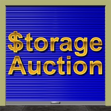 Activities of Storage Auction