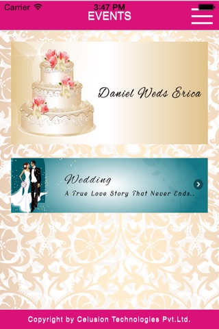 Wedding Delight screenshot 2