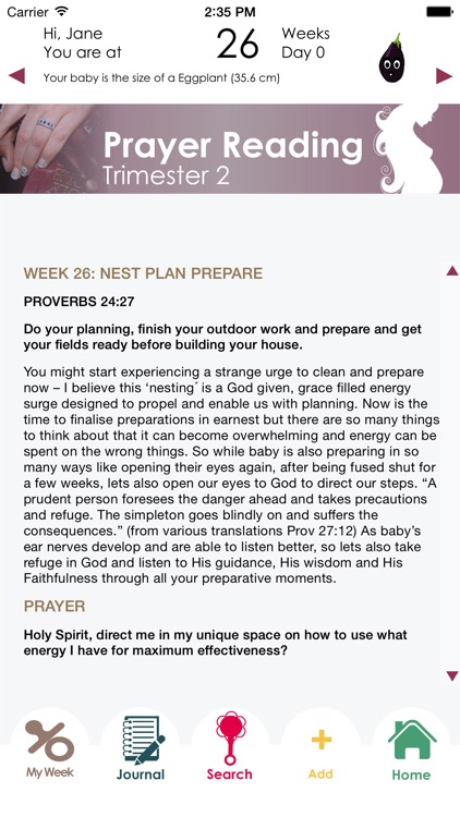 Pregnancy Prayer App