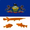 Pennsylvania Lakes - Fishing