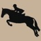 This is a collection of 73 tuitional and informative videos on The Art Of Horse Jumping