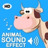 Animal Natural Sound