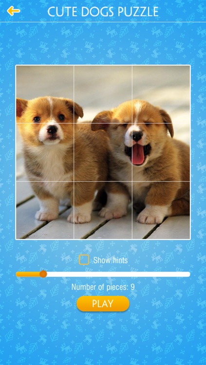 Cute Dogs Jigsaw Puzzles