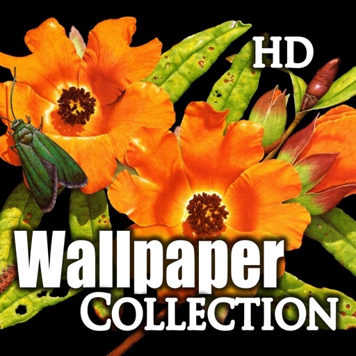 Awesome Nature Wallpapers HD iOS App