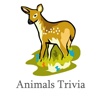 Animal Trivia and Quiz