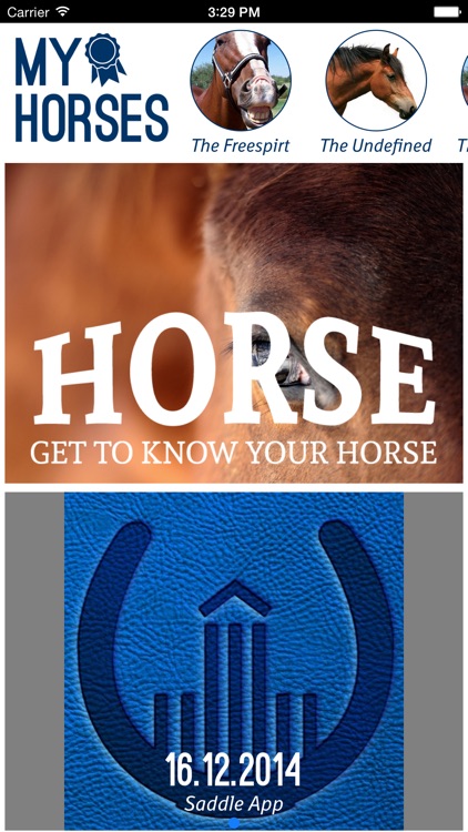Saddle App