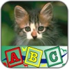 Alphabets & Animals for Toddlers
