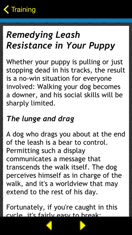 Puppy Basics For Dummies