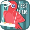 The Best Birds Sounds+