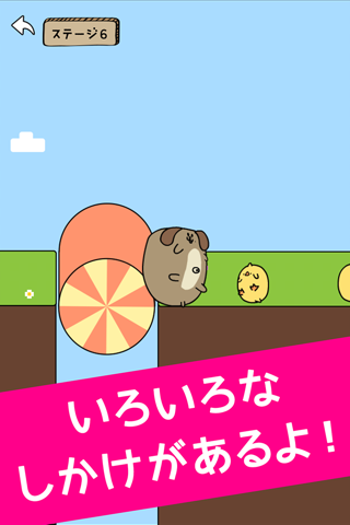 Rolling Animals screenshot 3