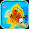 Frenzy Fish Crush Blitz-Pop All Fishes