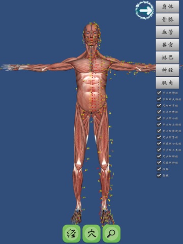 人体经穴3D图解 screenshot 3