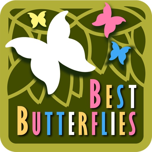 The Best Butterflies