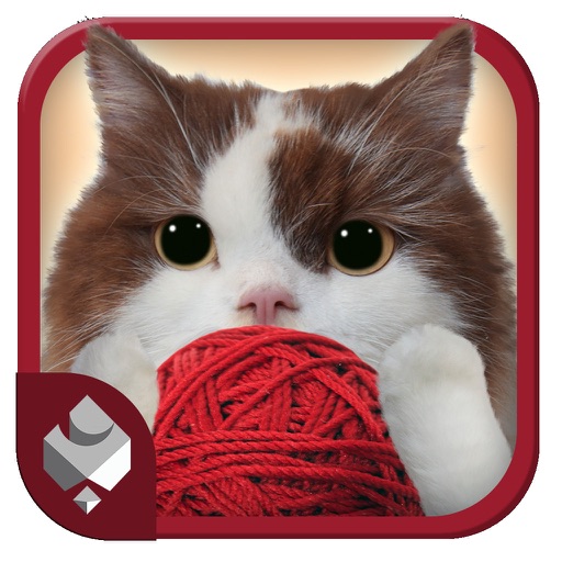 Cat Rolls iOS App