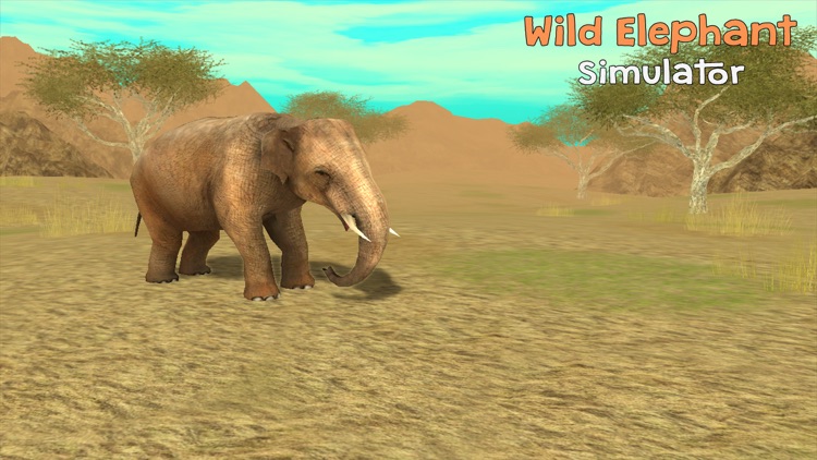 Wild Elephant Sim 3D