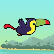 Activities of Tiki Toucan - Krunchi