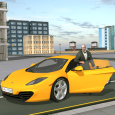 Activities of Car The Transporter Simulation 3d game