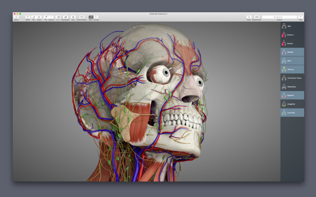 ‎Essential Anatomy 5 Screenshot