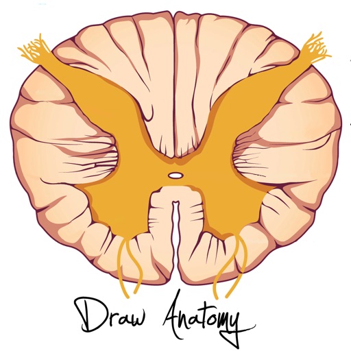 DrawAnatomy iOS App