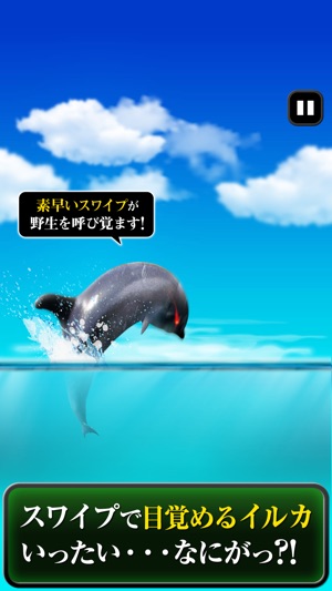 Can Dolphin Stand?(圖2)-速報App