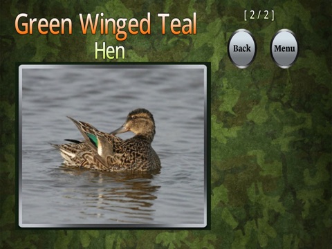 Duck ID "For iPad" screenshot 4
